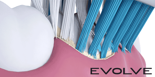 Evolve Toothbrush
